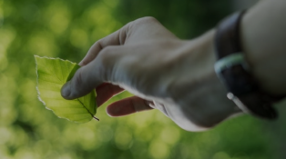 Environmental | TSRC